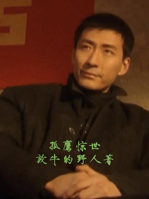 孤鹰惊世孤鹰惊世
